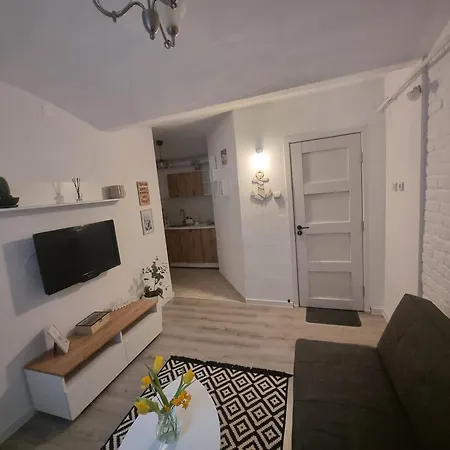 Creative Arch 아파트 티미쇼아라