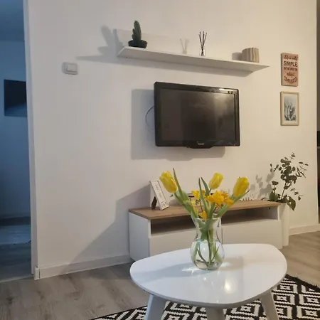 Creative Arch Timişoara