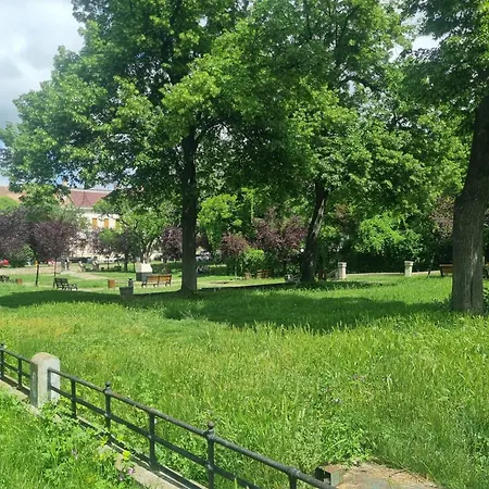 Creative Arch 아파트 티미쇼아라