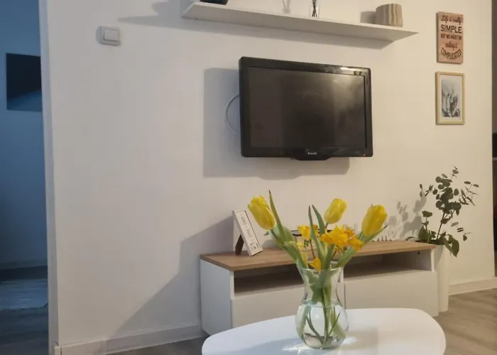 Creative Arch 티미쇼아라