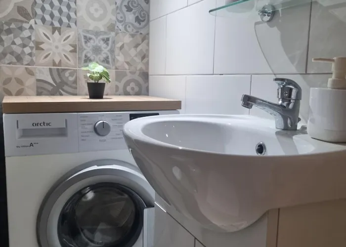 Creative Arch 티미쇼아라